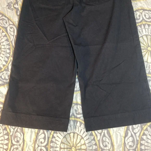 Spanx Black Wide Leg Capri Pull On Pant Size XL Petite - Picture 12 of 15